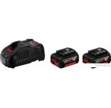 Аккумулятор с зарядным устройством Bosch 1600A00B8J (18В/5 а*ч + 14.4-18В)