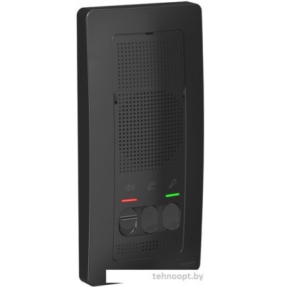Абонентская панель Schneider Electric Blanca BLNDA000016