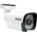 IP-камера Ginzzu HIB-2301A