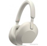 Наушники Sony WH-1000XM5 (серый)