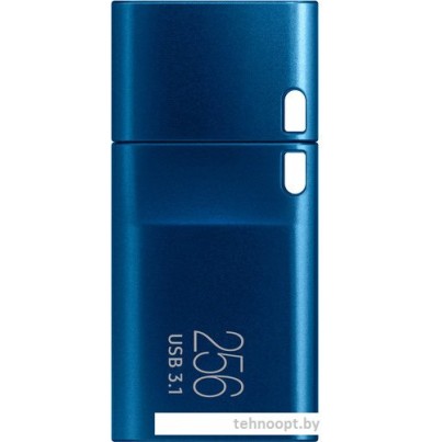 USB Flash Samsung USB-C 3.1 2022 256GB (синий)