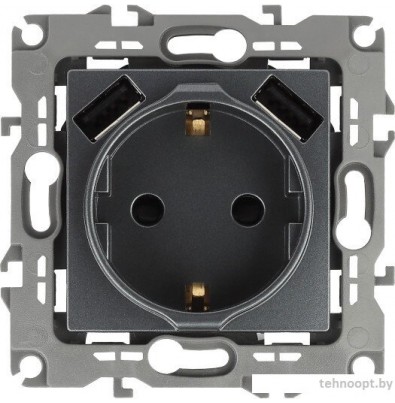 Розетка USB ЭРА 12-4109-12 Б0047846 (графит)