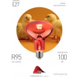 Инфракрасная лампа ЭРА ИКЗК 230-100 R95 E27 Б0062411