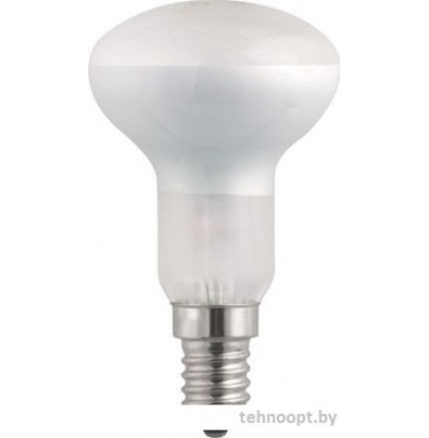 Лампочка JAZZway R50 40W E14 frost