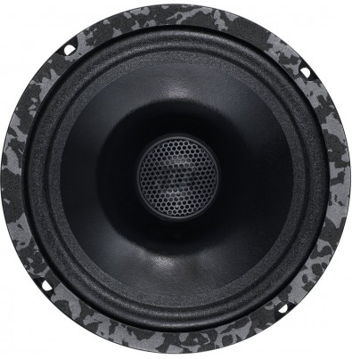 Коаксиальная АС DL Audio Anaconda 165 Coax