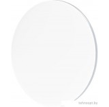 Светильник-тарелка Yeelight Defender Ceiling Light C480
