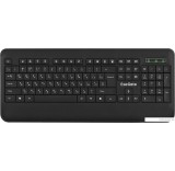 Клавиатура ExeGate Professional Standard LY-E5500M Color box