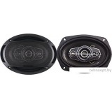 Коаксиальная АС Skylor BS-6904