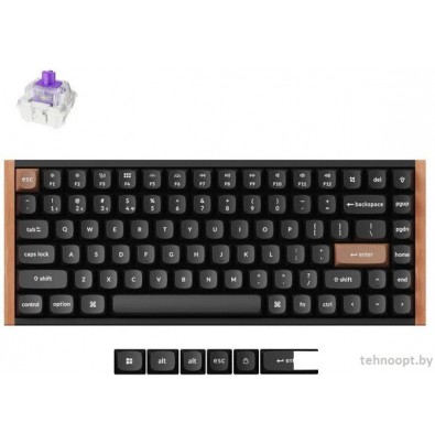 Keychron K2 HE Special Edition Black K2H-F1 (Nebula Magnetic)