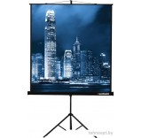 Проекционный экран Lumien Master View 128x171 (LMV-100106)